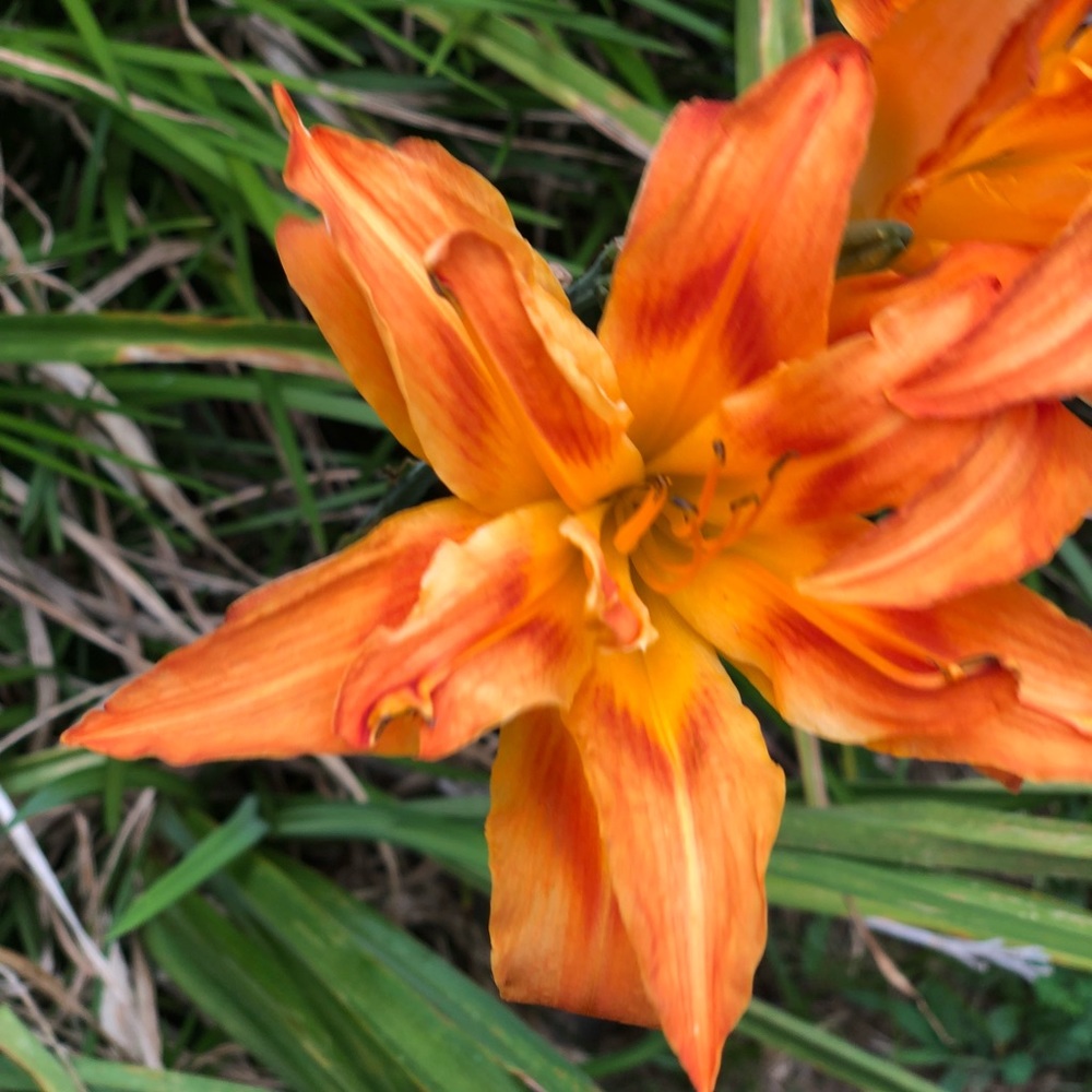 Meet your Posher, Keith